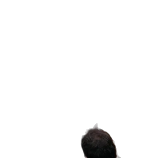 hair, staff, face, hat transparent PNG cut-out