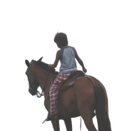 animal, jacket, dress, photorealistic transparent PNG cut-out
