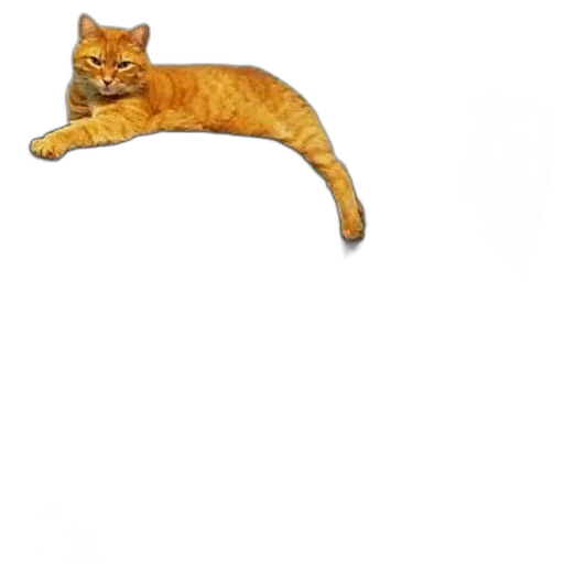 animal, staff, creature, weapon transparent PNG cut-out