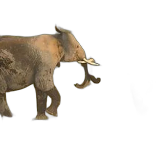 animal, creature, weapon, staff transparent PNG cut-out