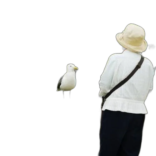 hat, jacket, staff, animal transparent PNG cut-out