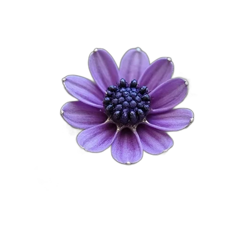 flower, jewelry, crown, staff transparent PNG cut-out