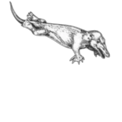 dragon, animal, creature, staff transparent PNG cut-out