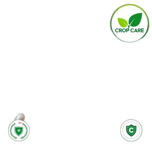 green, close-up, image, colorful transparent PNG cut-out