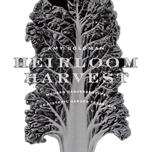 crown, hair, herloom, harvest transparent PNG cut-out
