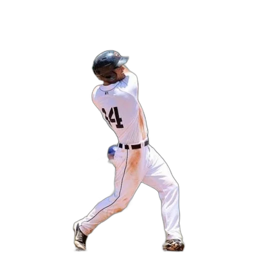animal, photorealistic, baseball, player transparent PNG cut-out