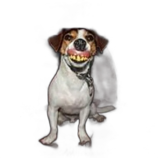 animal, creature, staff, face transparent PNG cut-out