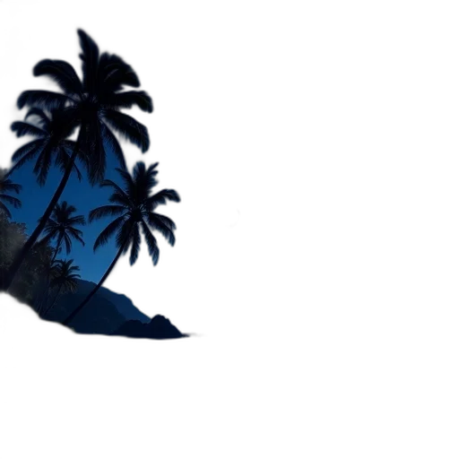 hat, umbrella, shoes, tree transparent PNG cut-out