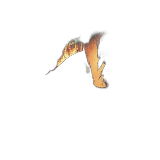 dragon, animal, weapon, creature transparent PNG cut-out