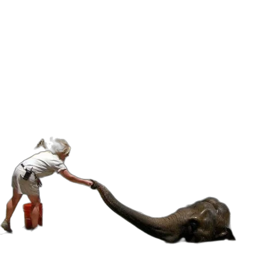 staff, animal, weapon, creature transparent PNG cut-out