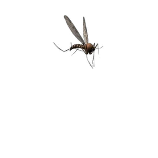 creature, animal, dragon, umbrella transparent PNG cut-out