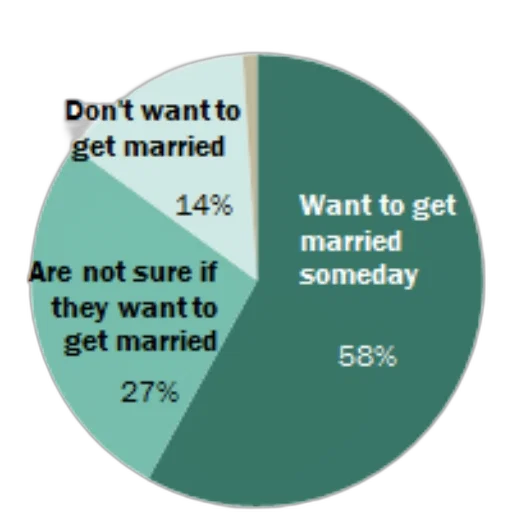 pie, chart, showing, percentage transparent PNG cut-out
