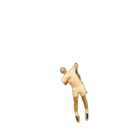 shoes, animal, staff, creature transparent PNG cut-out