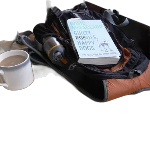 shoes, furniture, weapon, robot transparent PNG cut-out