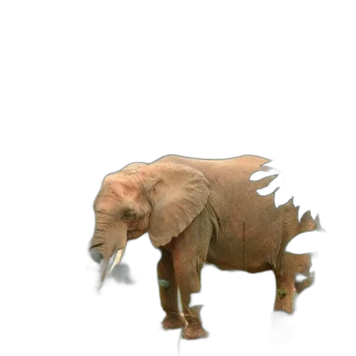 animal, creature, dragon, weapon transparent PNG cut-out