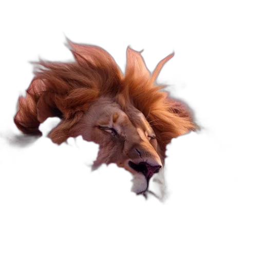 dragon, animal, crown, creature transparent PNG cut-out