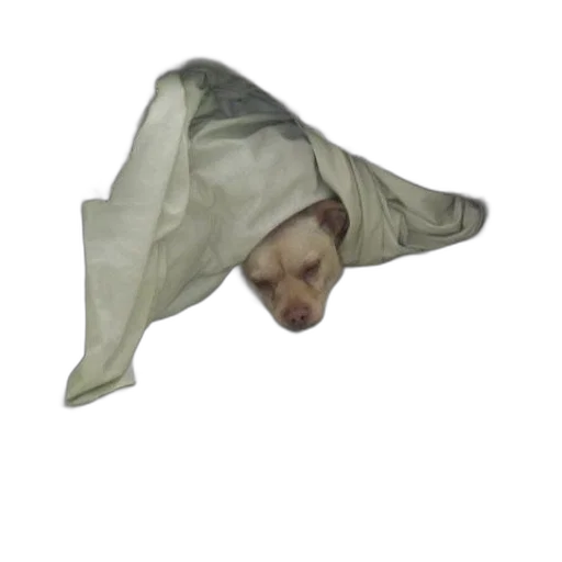 mask, creature, hat, face transparent PNG cut-out