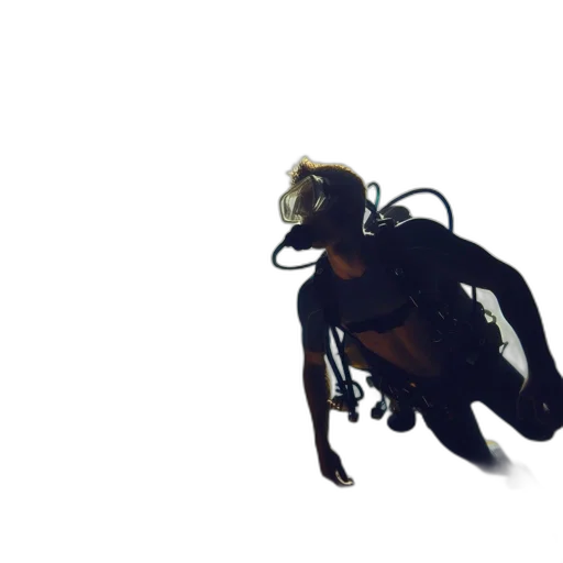 creature, dragon, animal, hair transparent PNG cut-out