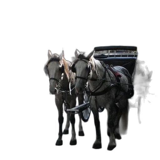 car, animal, robot, staff transparent PNG cut-out