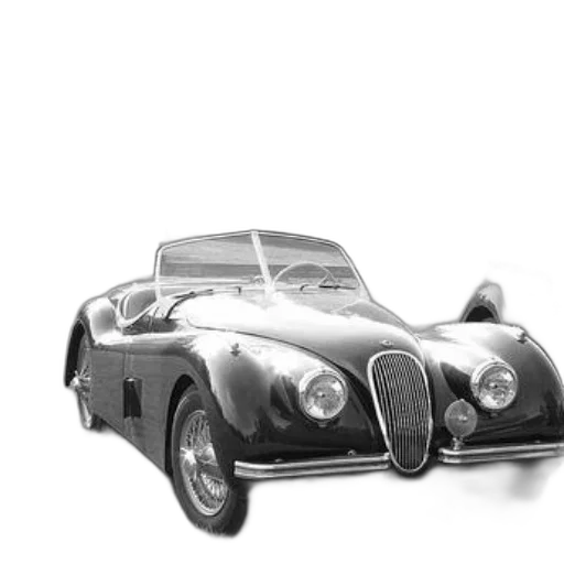 car, animal, photorealistic, 3d render transparent PNG cut-out