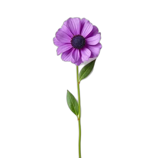 flower, staff, weapon, crown transparent PNG cut-out