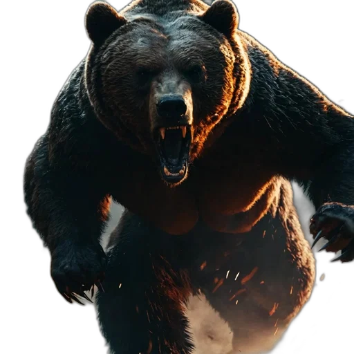 animal, creature, face, concept art transparent PNG cut-out
