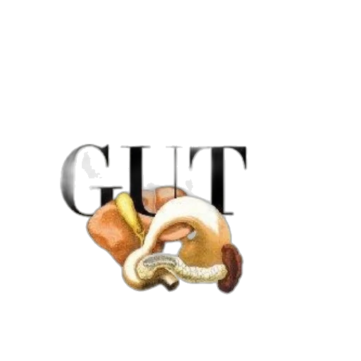 food, hair, hat, jewelry transparent PNG cut-out
