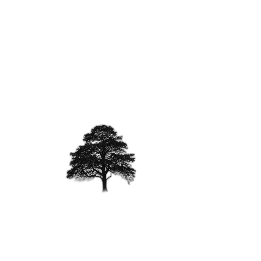 tree, crown, hair, hat transparent PNG cut-out