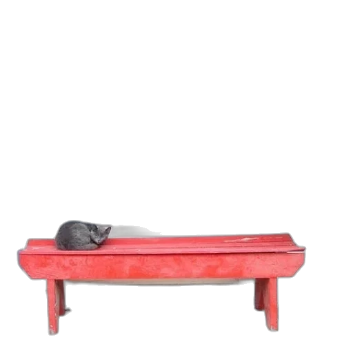 furniture, animal, shoes, staff transparent PNG cut-out