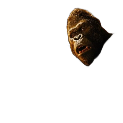mask, creature, face, animal transparent PNG cut-out