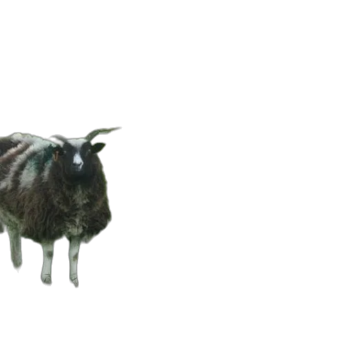 animal, creature, hair, mask transparent PNG cut-out