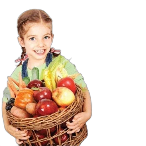 food, photorealistic, colorful, book transparent PNG cut-out