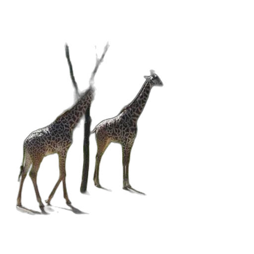 animal, creature, crown, staff transparent PNG cut-out