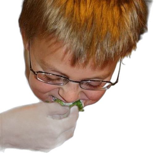 creature, face, staff, food transparent PNG cut-out
