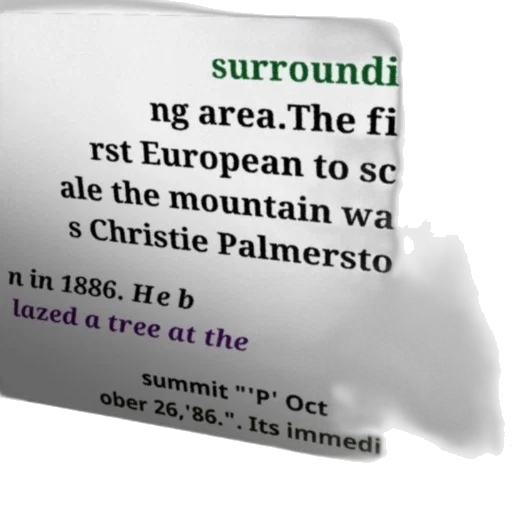 tree, furniture, forest, image transparent PNG cut-out