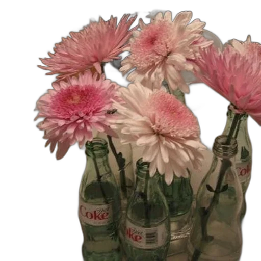 bottle, flower, jacket, crown transparent PNG cut-out