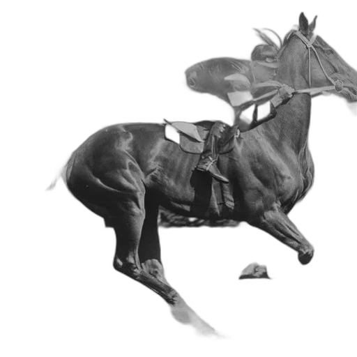 animal, dragon, creature, weapon transparent PNG cut-out