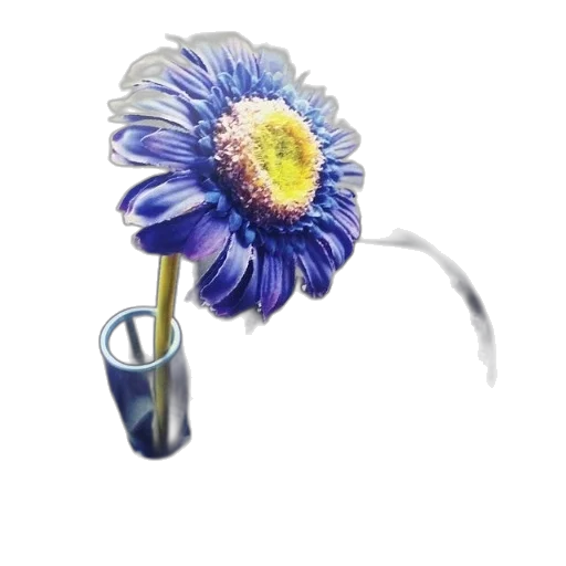 flower, jewelry, staff, weapon transparent PNG cut-out