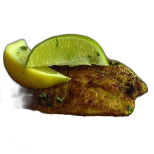 food, animal, weapon, jacket transparent PNG cut-out
