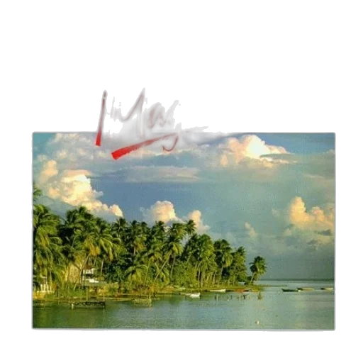 dragon, staff, tree, hat transparent PNG cut-out