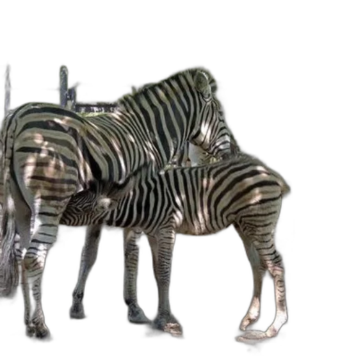 animal, creature, 3d render, concept art transparent PNG cut-out