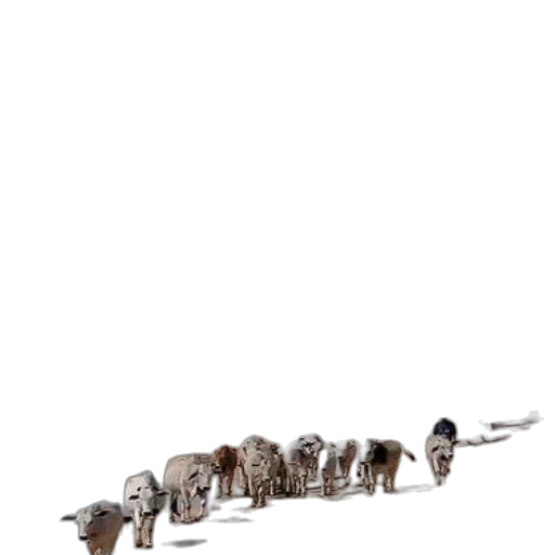staff, animal, weapon, jewelry transparent PNG cut-out