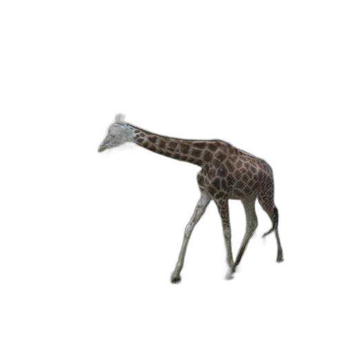 animal, creature, staff, weapon transparent PNG cut-out