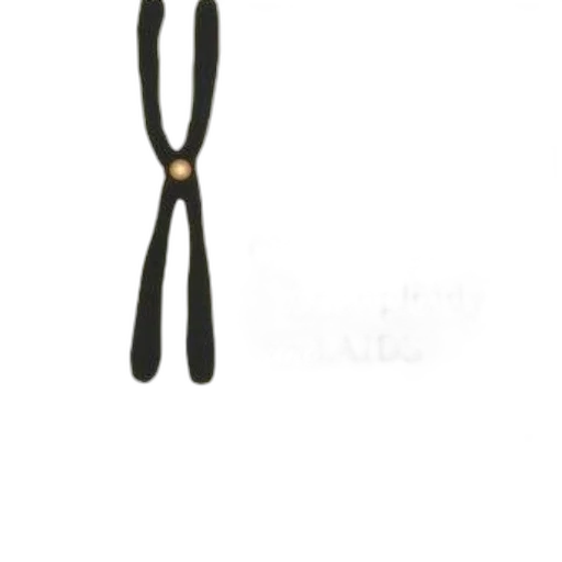 jewelry, staff, hair, crown transparent PNG cut-out