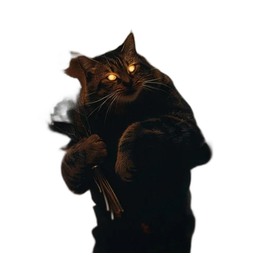 animal, staff, jacket, weapon transparent PNG cut-out