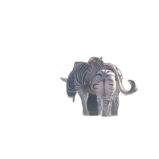 animal, creature, mask, crown transparent PNG cut-out