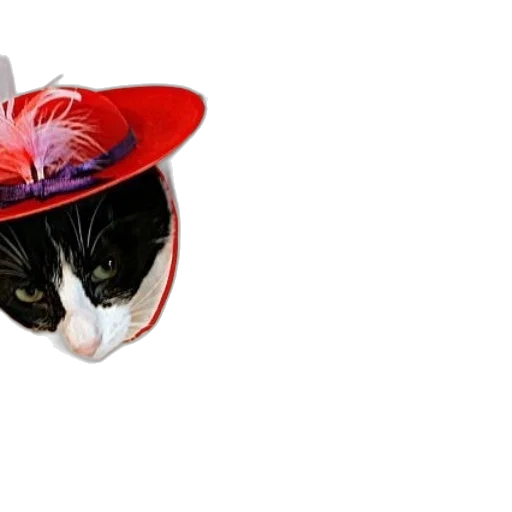 hat, animal, crown, mask transparent PNG cut-out