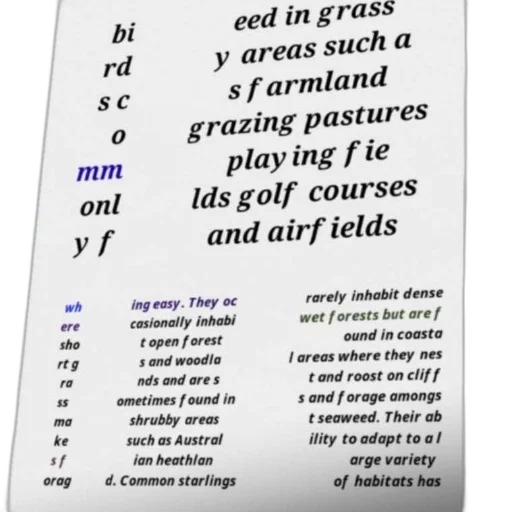forest, text-based, description, birds transparent PNG cut-out