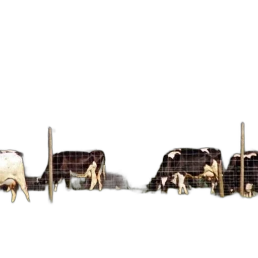 animal, concept art, pixel art, 3d render transparent PNG cut-out