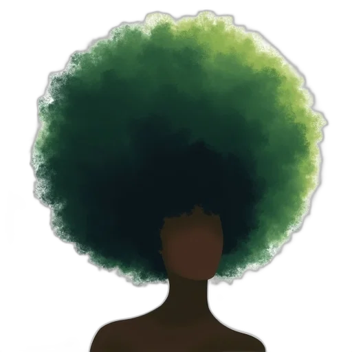hair, crown, hat, face transparent PNG cut-out